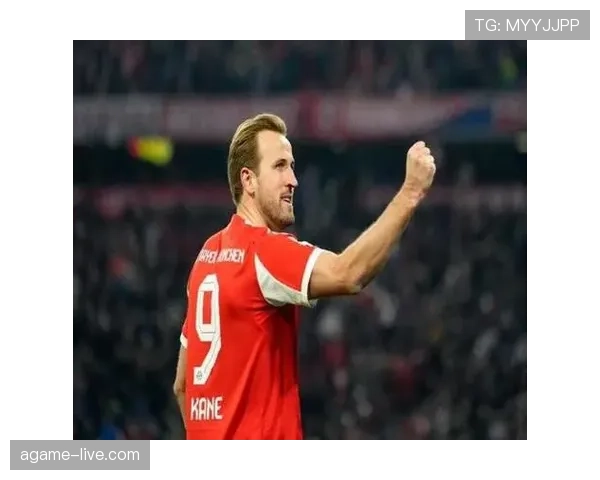 凯恩与莱万：终结效率分化，体系依赖度偏移