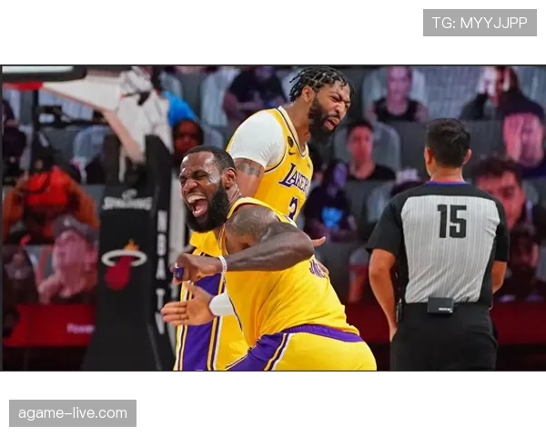 詹姆斯挡拆组织胜戴维斯背身单打 改变进攻节奏