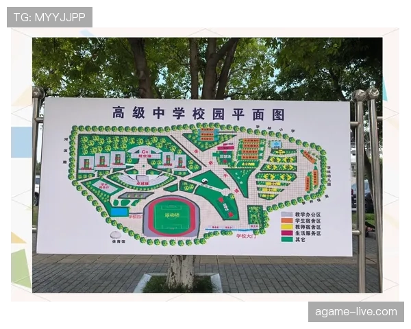 全面解析篮球发球干扰规则的具体定义及现场判罚标准说明