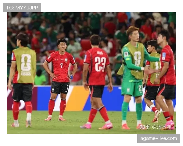 南非小组赛回顾:末轮击败韩国成为关键 南非小组赛回顾:末轮击败韩国成为关键